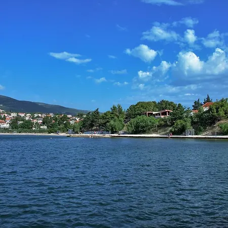 Orhideja *