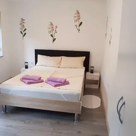 Orhideja * Gornji Karin