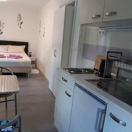 Orhideja Gornji Karin